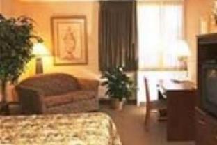 Extended Stay America Suites - Dallas - Las Colinas - Green Park Dr Irving Rum bild